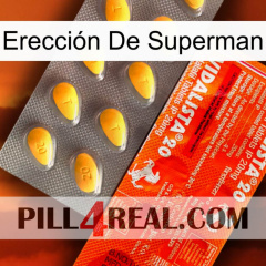 Erección De Superman new01